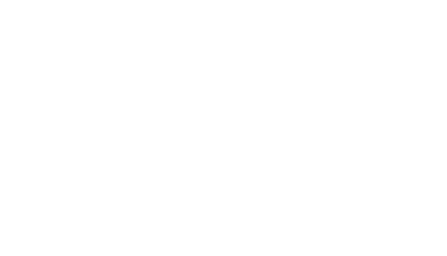 TheBOX® Logo